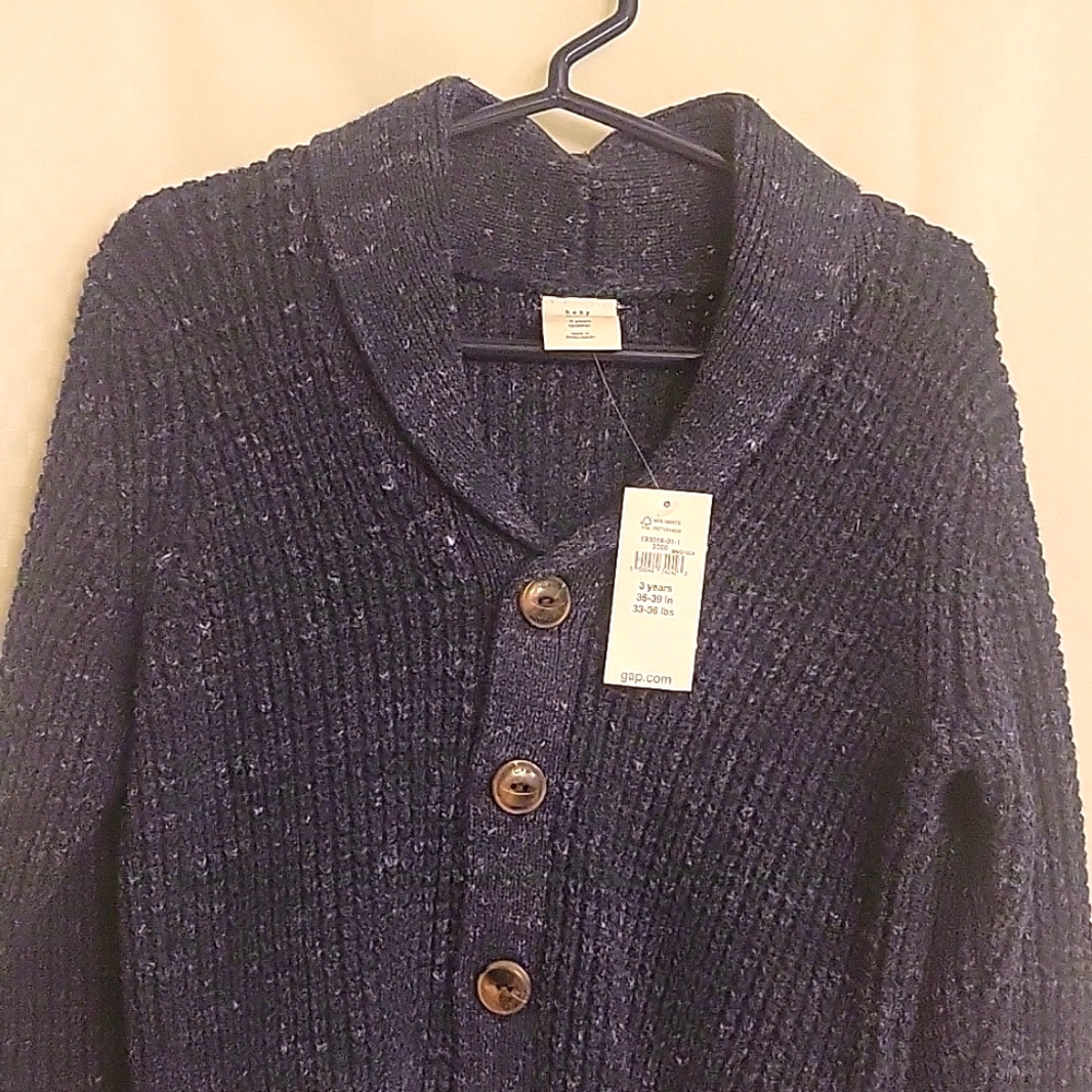 Toddler Gap Sweater